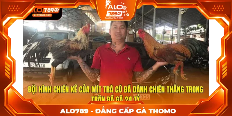 Đội hình chiến kê của Mít Trà Cú đã dành chiến thắng trong trận đá gà 24 tỷ