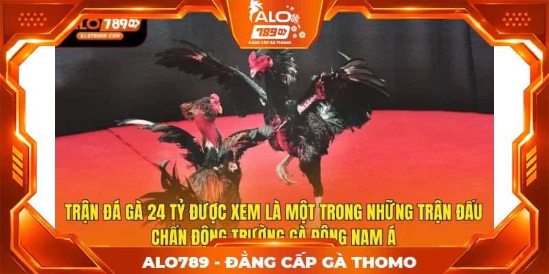Trận đá gà 24 tỷ được xem là một trong những trận đấu chấn động trường gà Đông Nam Á
